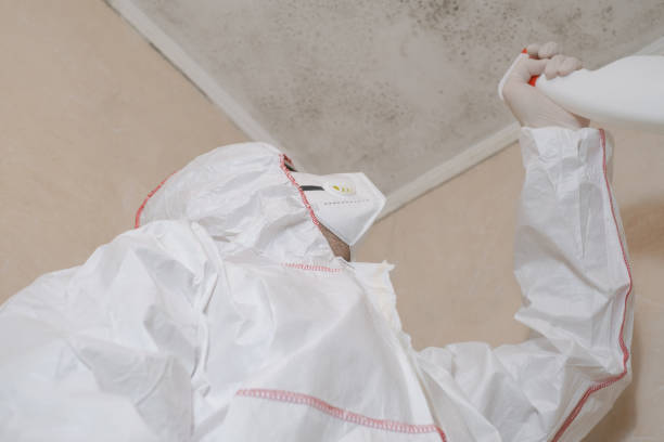 Best Health and Safety Mold Remediation in Cherokee, NC
